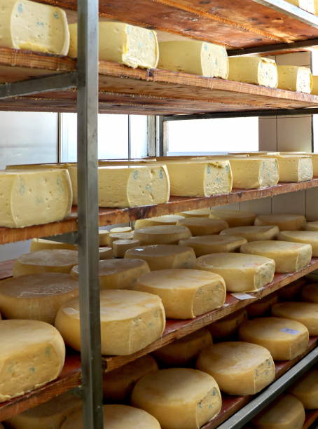istock Pirot yellow cheese in shelves 1170294638