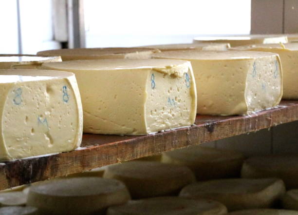 istock Pirot yellow cheese in shelves 1170294795