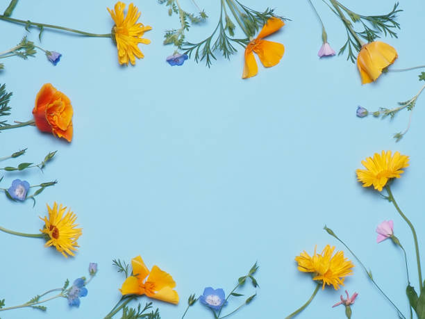 istock Floral pattern of orange flowers on blue background. 1170296428