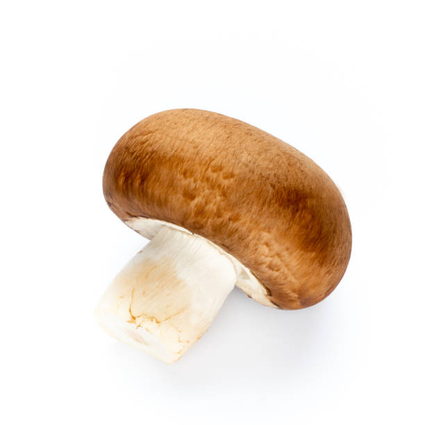 istock Fresh champignon mushrooms isolated on white. 1170296459