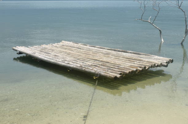 a jangada de bambu está flutuando na lagoa - wooden raft - fotografias e filmes do acervo