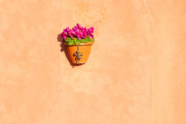 Decorative flower pot on the beige wall. Colorful architecture in Burano island, Venice, Italy.