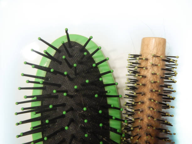 istock Combing with hair loss on a white background 1170297951