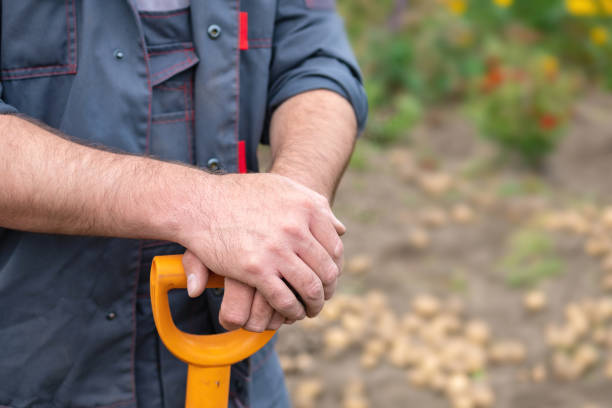 istock hands rest on the handle of a shovel 1170298831