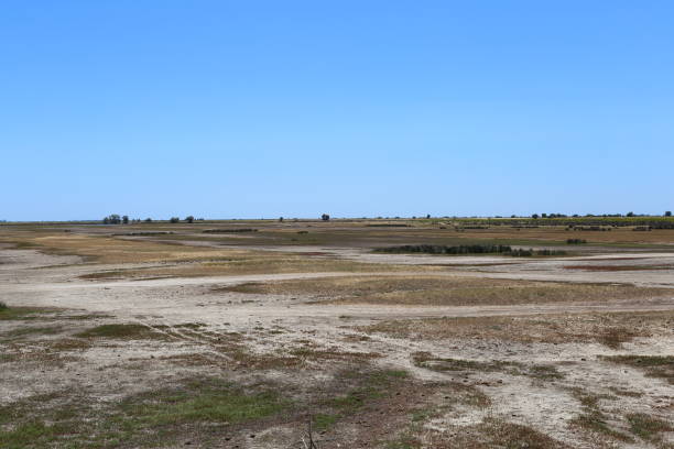 istock Arid landscape, scorched earth 1170300819