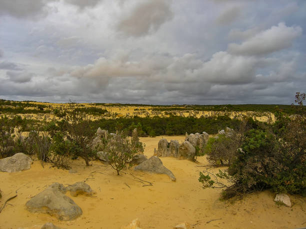 istock The Pinnacles formations in Nambung National Park, Western Australia 1170302146