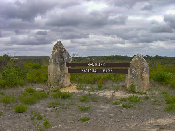 istock The Pinnacles formations in Nambung National Park, Western Australia 1170302152