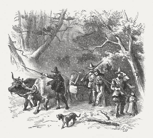 angielscy osadnicy w ameryce, i połowa xvii wieku, opublikowana w 1876 roku - kolonializm stock illustrations