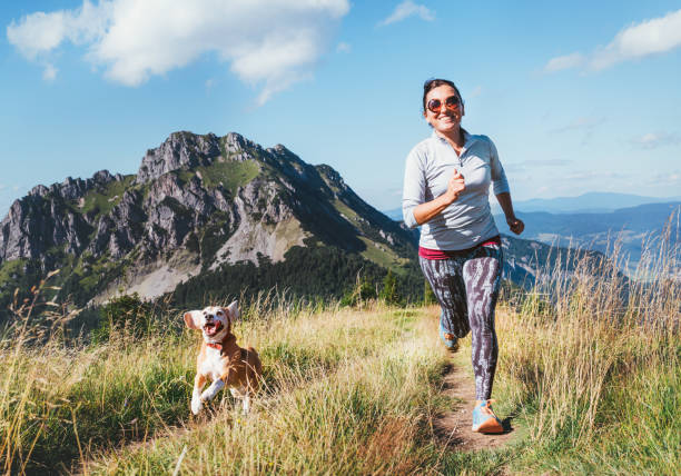 jogging féminin de sourire heureux par le chemin de gamme de montage avec son chien de beagle. canicross exécutant l'image saine de concept de mode de vie. - medical cross photos et images de collection