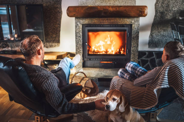 père avec le fils s'asseyant dans les fauteuils confortables dans leur maison de campagne confortable près de la cheminée et appréciant une atmosphère chaude et se déplace de flamme. leur chien ami beagle s'asseyant à côté sur la peau de mouton bl - dog family indoors child photos et images de collection