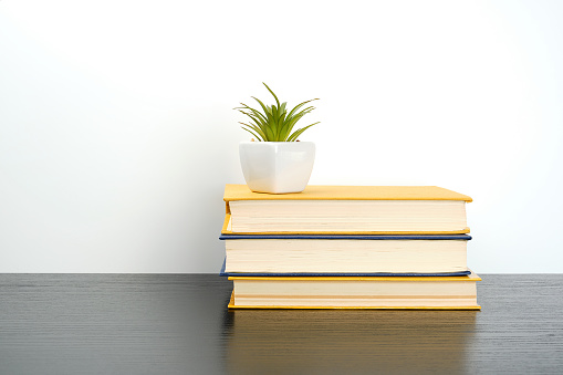 stack books on a black table, on top a ceramic pot with a green plant, concept of back to school