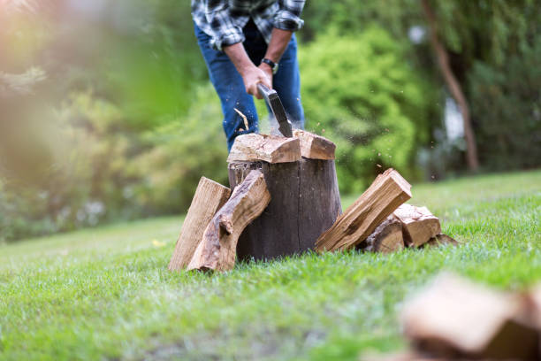 istock Senior man cutting logs, working in the garden 1170308455