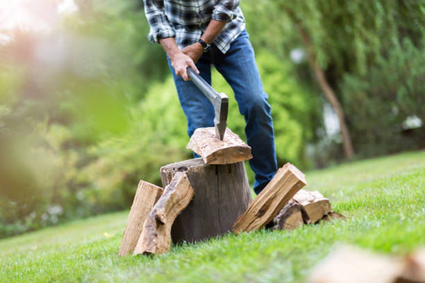 istock Senior man cutting logs, working in the garden 1170308537