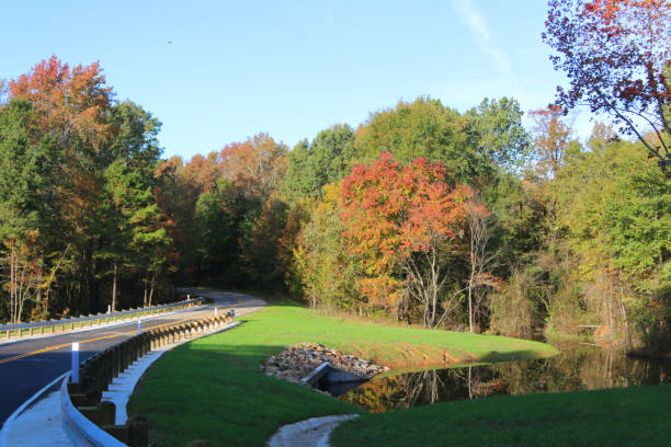 istock Country backroad with autumn color 1170308627