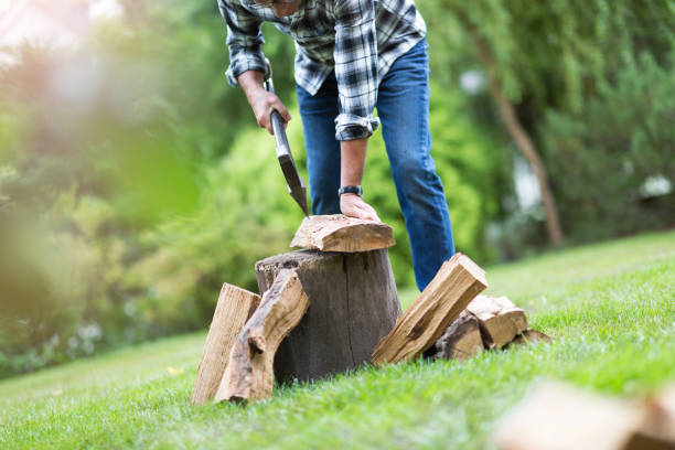 istock Senior man cutting logs, working in the garden 1170308642