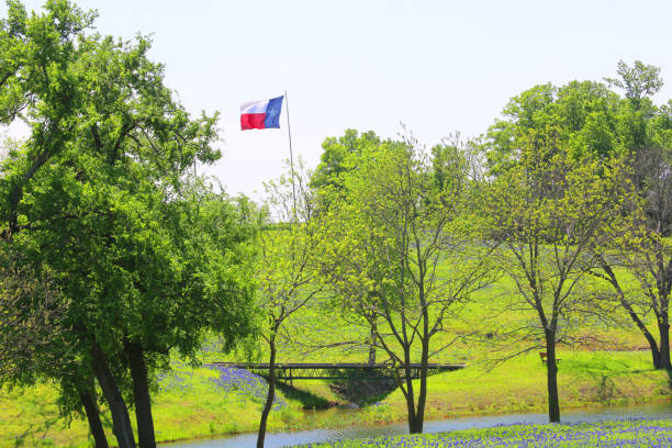 istock Texas bluebonnet field with flag during springtime 1170309266