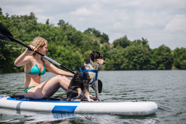istock Cheerful companions paddleboarding at a lake 1170309641