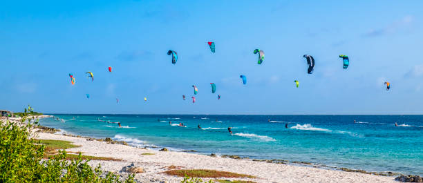 kiteboarding in bonaire - trade winds imagens e fotografias de stock