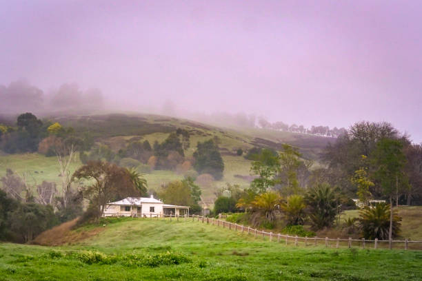 landscape of a country farm land with cottage - fog tree purple winter imagens e fotografias de stock