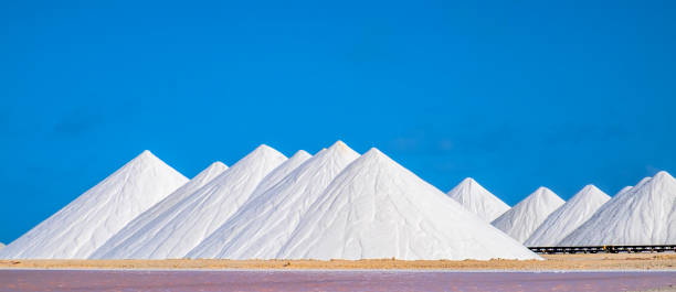 istock Salt pans of Bonaire 1170311553