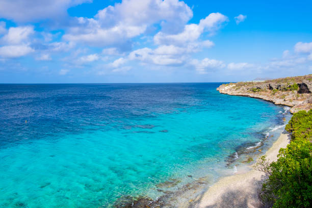 istock Bonaire, 1000 Steps dive site and beach 1170311609