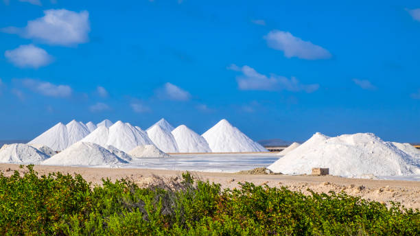 istock Salt pans of Bonaire 1170312584