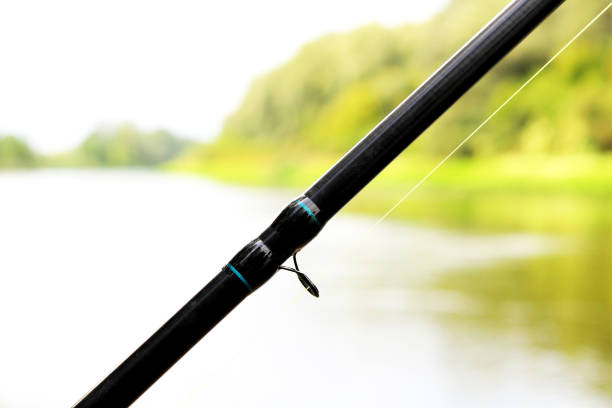 istock Fishing with feeder fishing rod on river 1170314221