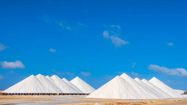 istock Salt pans of Bonaire 1170314269