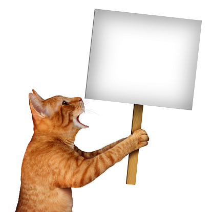 Cat holding a blank sign as a cute tabby feline with an open talking mouth expression communicating a message pertaining to pet care or veterinary services on an isolated white background with 3D illustration elements.