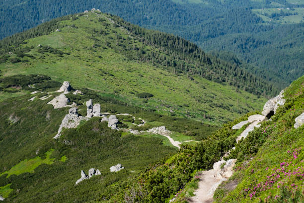 istock Summer Carpathian mountain landscape. 1170316166
