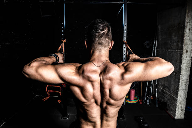 istock Young strong man workout training back muscles in the gym dark image 1170316277