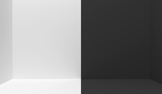 Black And White Interior Divided In Half Into Two Parts In The Middle Empty Blank Room With Copy Space One Half Is White The Other Half Is Black 3d Rendering Stock Photo - Black And White Interior Divided In Half Into Two Parts In The Middle Empty Blank Room With Copy Space One Half Is White The Other Half Is Black 3d Rendering Stock Photo -