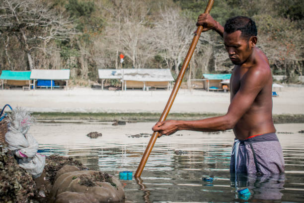 istock Asian fisherman and his fish net 1170326909