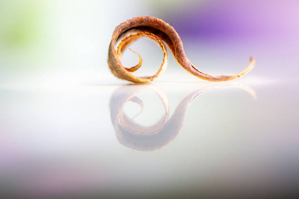 Abstract image of curled leaf on reflective surface. Artistic nature background art image with copy space and selective focus.