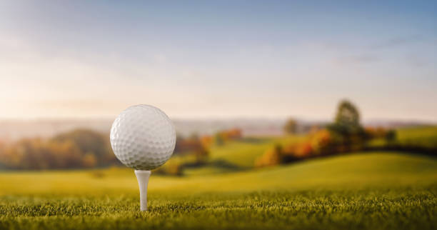 primer plano de una pelota de golf en la camiseta del campo de golf - pelota de golf fotografías e imágenes de stock