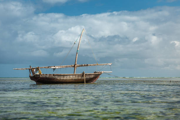 istock Wooden boat during low tide 1170332696