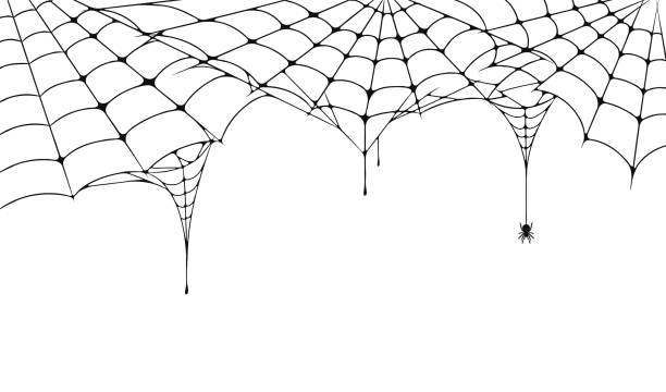 beängstigend spinnennetz, halloween festlichen hintergrund. spinnweb en auf weißem hintergrund mit spinne. gruselige spinne web für halloween-plakat, grußkarte, party-einladung etc. - spinnennetz stock-grafiken, -clipart, -cartoons und -symbole