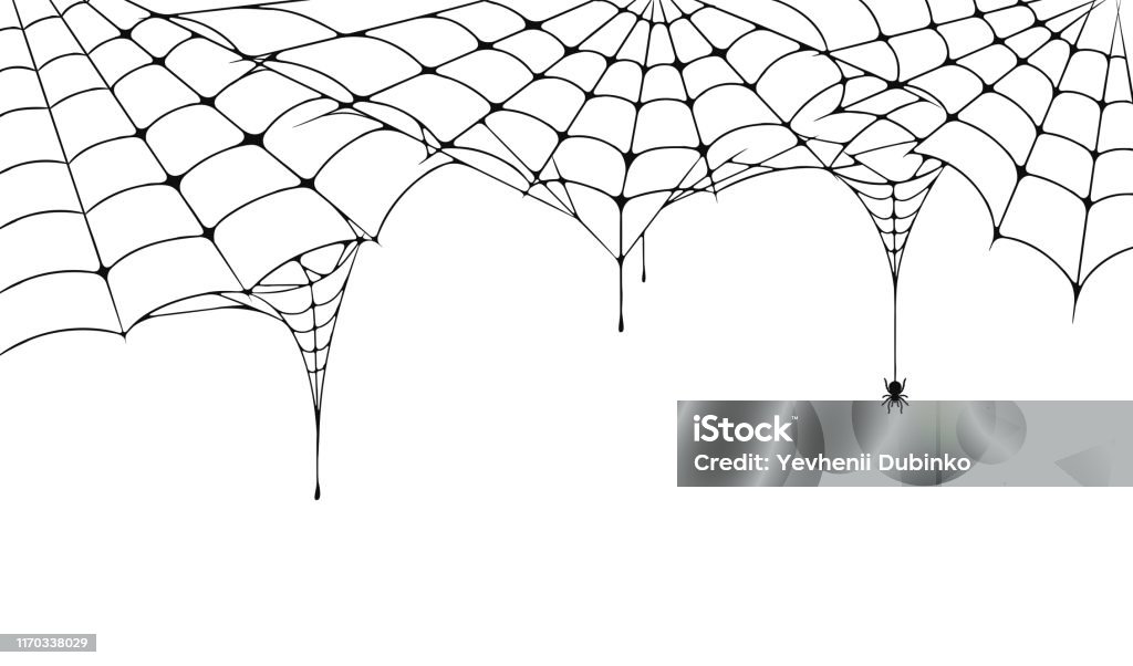 Scary spider web, Halloween festive background. Cobweb on white background with spider. Spooky spider web for Halloween poster, greeting card, party invitation etc Scary spider web, Halloween festive background. Cobweb on white background with spider. Spooky spider web for Halloween poster, greeting card, party invitation etc. Vector Halloween stock vector