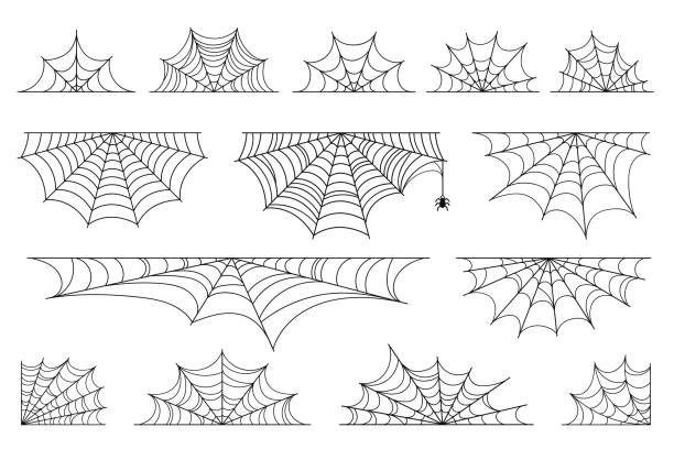 ilustrações, clipart, desenhos animados e ícones de jogo da teia de aranha para halloween. cobweb de halloween, frames e beiras, elementos assustadores para a decoração. web ou cobweb desenhado mão da aranha com aranha de suspensão - gothic style illustrations