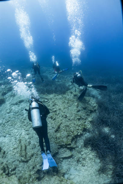 istock scuba divers in the sea 1170346741