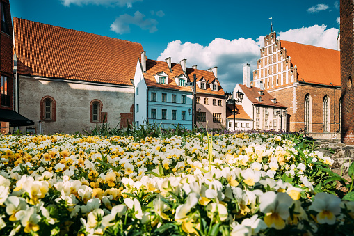 Riga, Latvia. View Of Old Houese  And St. John's Lutheran Church, The Monument Of Medieval Church Gothic Architecture In Sunny Day. Blooming Flowers On Foreground