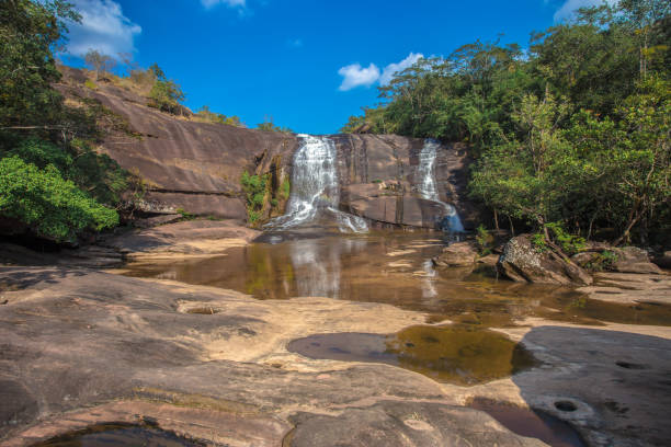 istock Waterfall, Rainforest, Fish, Tropical Climate, Water 1170350773