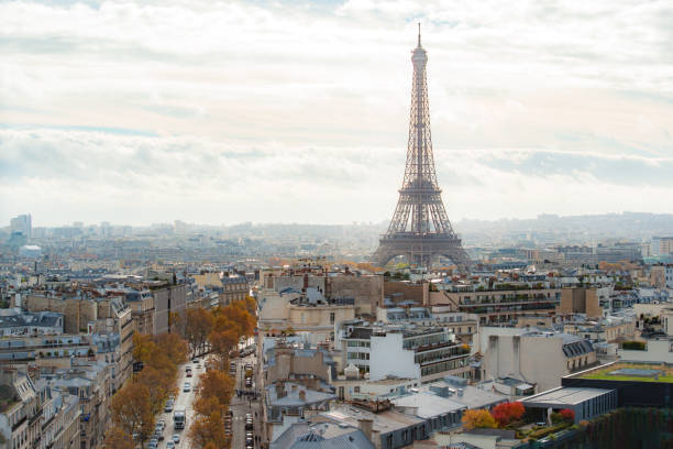 luftaufnahme des eiffelturms, paris, frankreich - 7654 stock-fotos und bilder