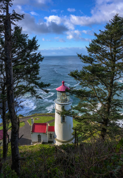 istock Looking Down on Heceta Head Lighthouse at Day Break 1170351577
