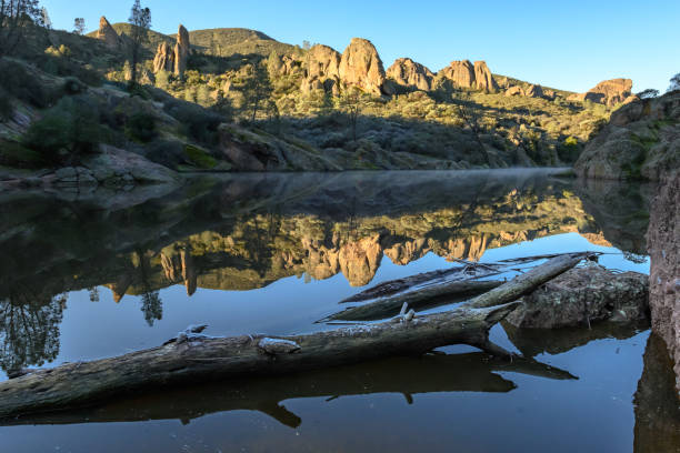 istock Logs Sit in Bear Gulch Reservoir 1170352669