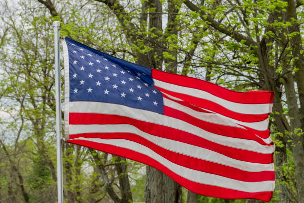 istock Amierican Flag Against Spring Green 1170356447