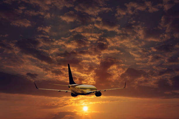 istock Passenger airplane at a sunset. 1170356454