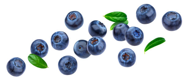 Blueberry isolated on white background with clipping path Blueberry isolated on white background with clipping path, berry collection, fresh falling blueberries with leaves blueberry photos stock pictures, royalty-free photos & images