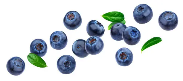 Blueberry isolated on white background with clipping path, berry collection, fresh falling blueberries with leaves