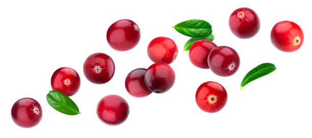 Cranberry isolated on white background with clipping path Cranberry isolated on white background with clipping path, berry collection, fresh falling cranberries with leaves cranberry stock pictures, royalty-free photos & images